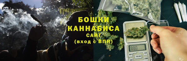 эйфоретик Вяземский
