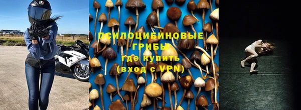 эйфоретик Вяземский