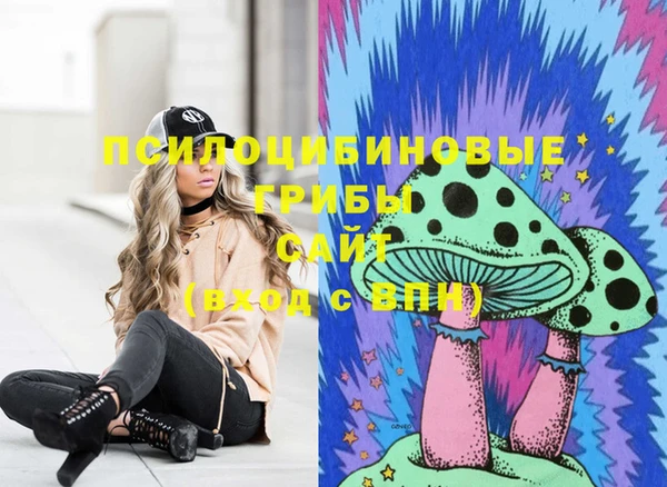 2c-b Бутурлиновка