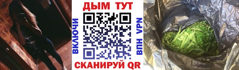 Бошки Шишки семена  Горбатов 